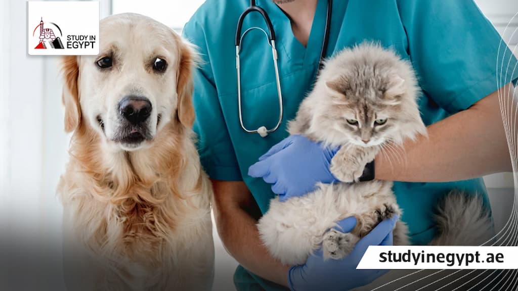 كلية الطب البيطري جامعة المنوفية