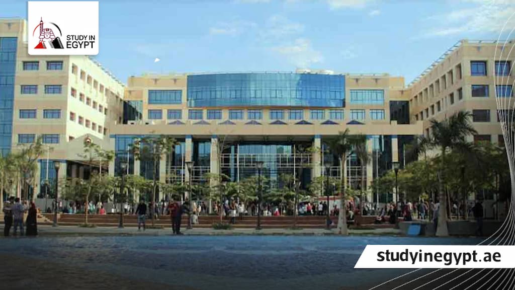 كلية اللغات والترجمة جامعة 6 أكتوبر