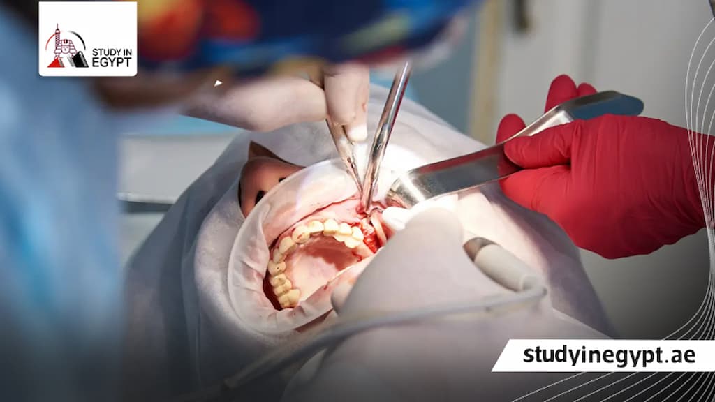 كلية طب وجراحة الفم والاسنان جامعة مصر للعلوم والتكنولوجيا