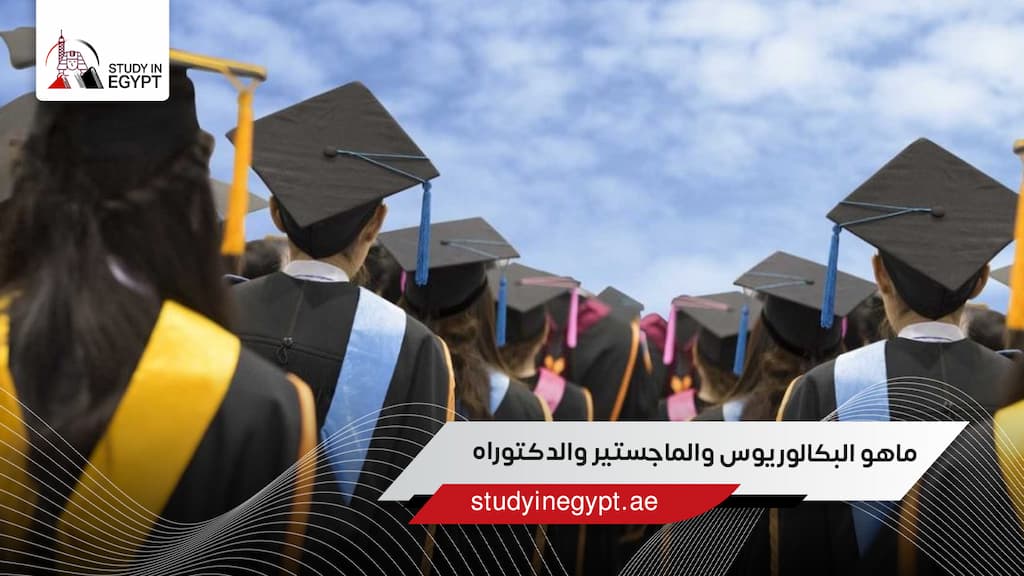 ماهو البكالوريوس والماجستير والدكتوراه