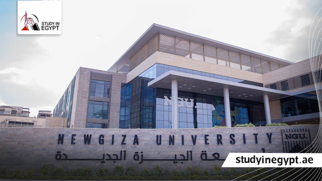 مصاريف جامعة نيو جيزة للوافدين