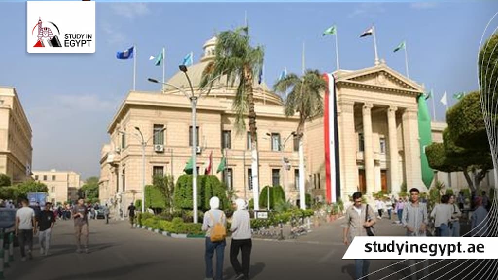 مصاريف كلية تجارة جامعة القاهرة