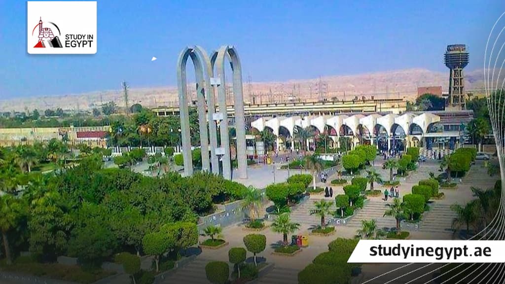 مصاريف كلية فنون تطبيقية جامعة حلوان