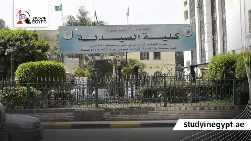 مصاريف ماجستير صيدلة القاهرة