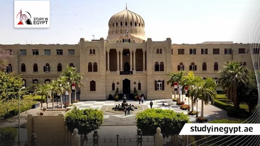 التقديم في جامعة عين شمس الأهلية