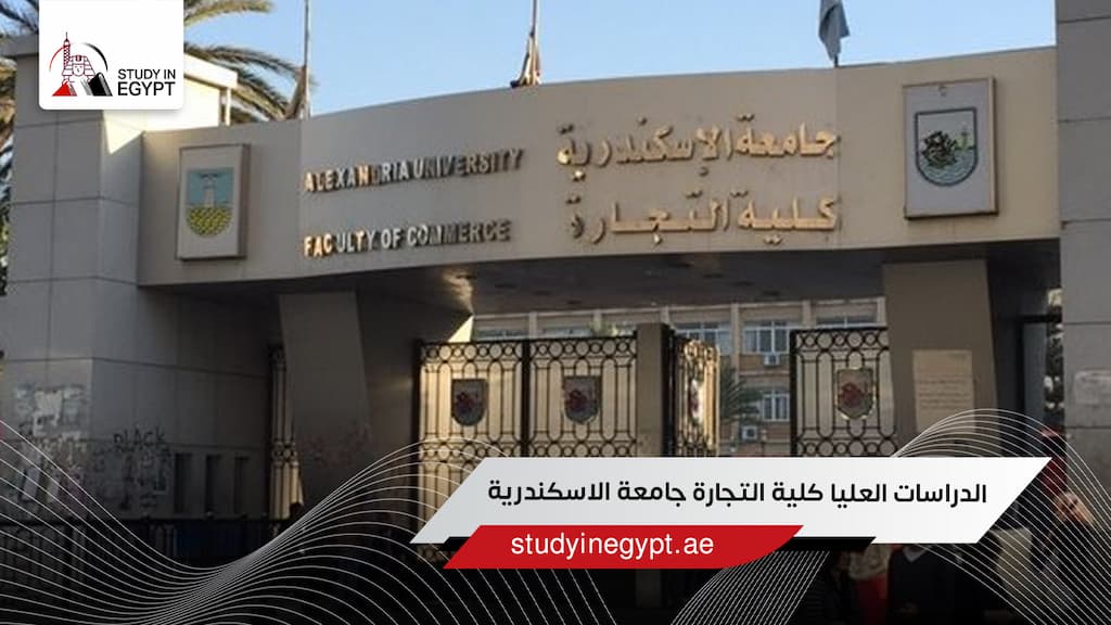 الدراسات العليا كلية التجارة جامعة الاسكندرية