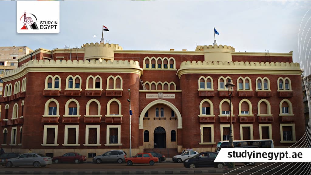 الدراسات العليا كلية التجارة جامعة الاسكندرية