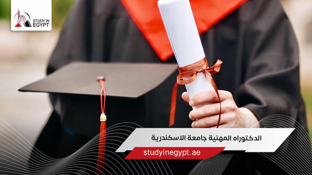 الدكتوراه المهنية جامعة الاسكندرية