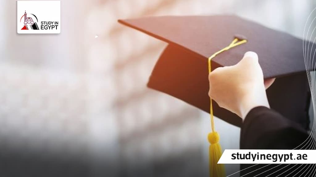الدكتوراه المهنية جامعة الاسكندرية