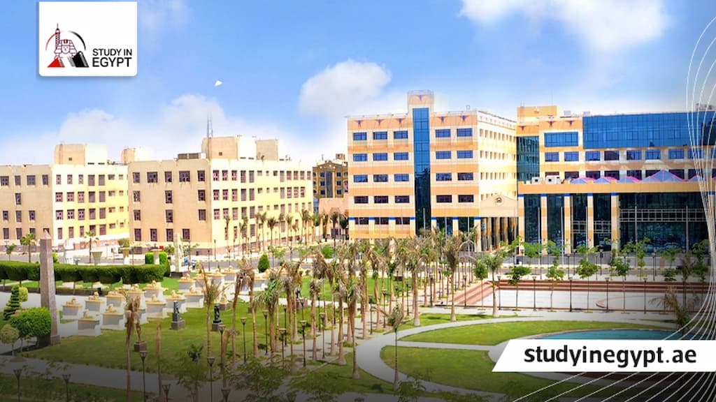 ايهما أفضل جامعة مصر للعلوم والتكنولوجيا ام جامعة 6 أكتوبر