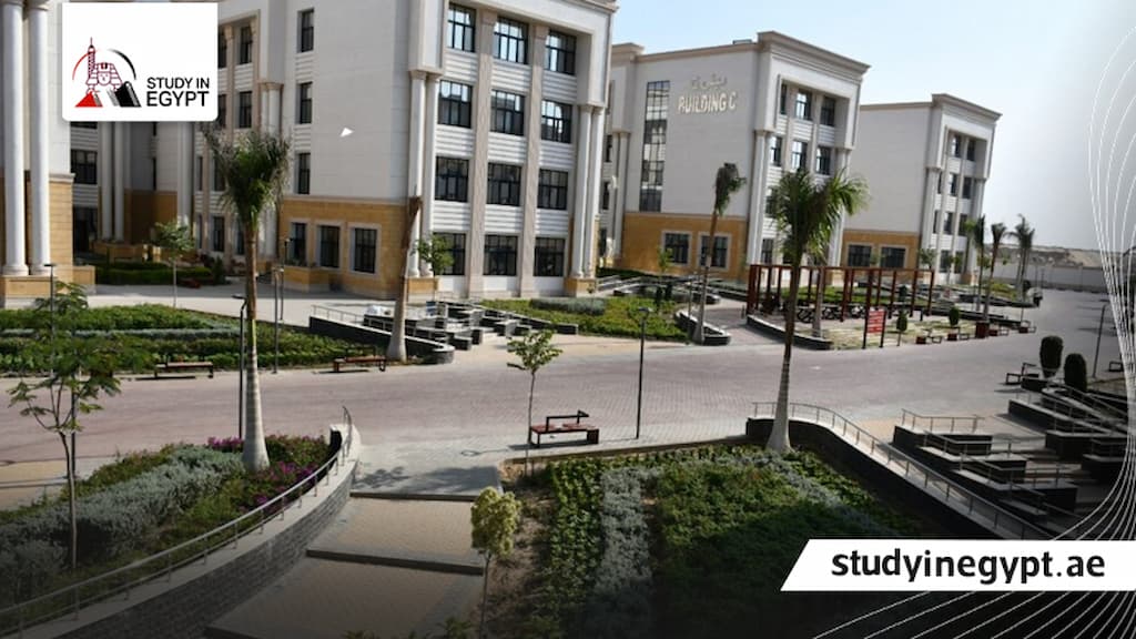 جامعة الإسماعيلية الأهلية