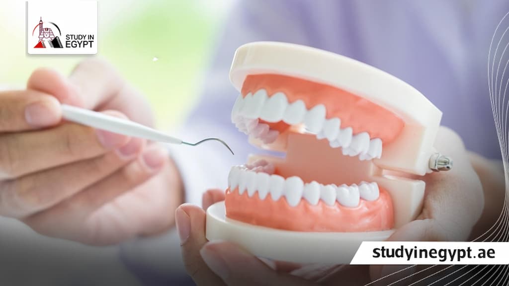 جامعة القاهرة كلية طب الاسنان الدراسات العليا