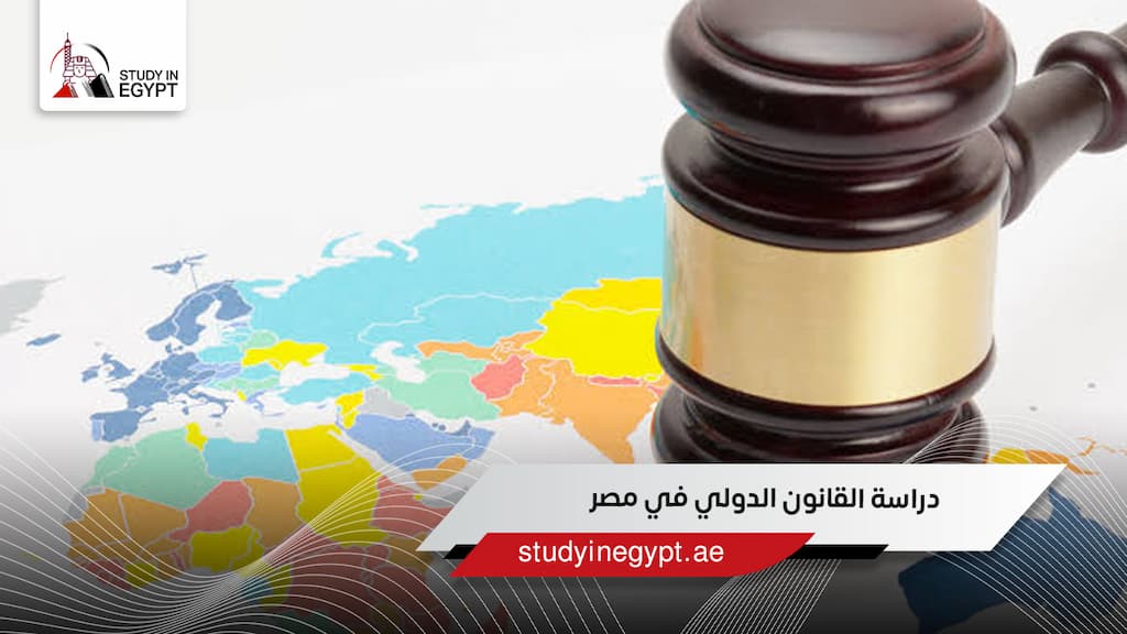 دراسة القانون الدولي في مصر