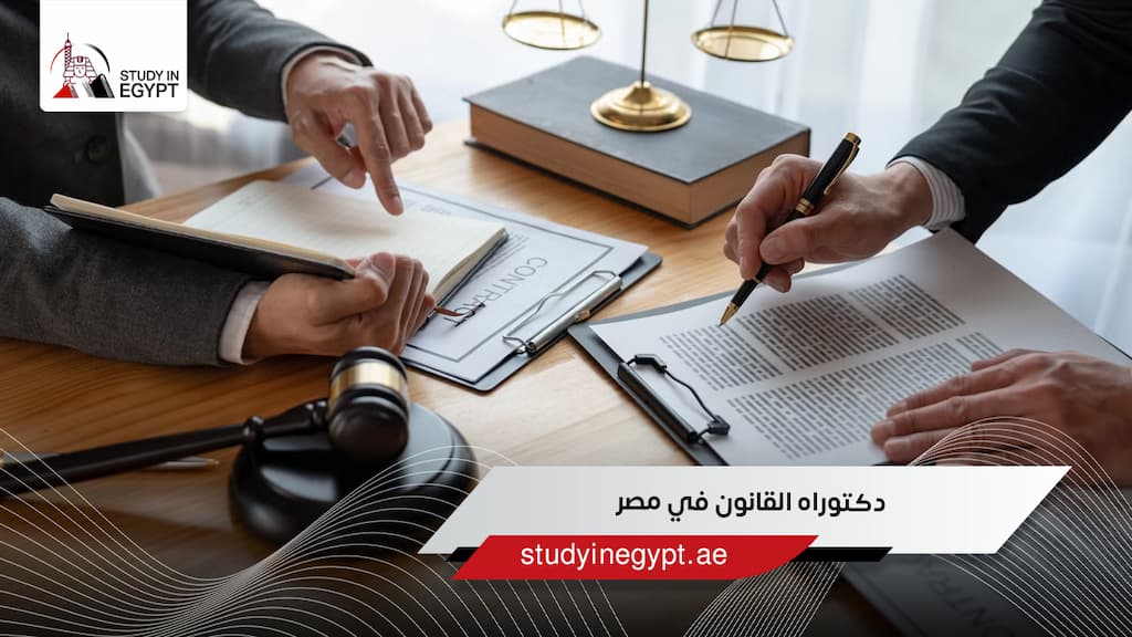 دكتوراه القانون في مصر