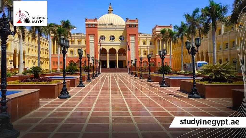 طب أسنان الجامعة البريطانية بمصر