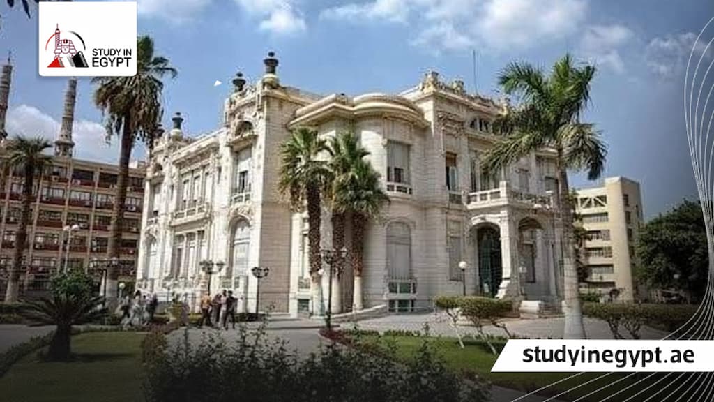 مصاريف صيدلة كلينيكال جامعة عين شمس