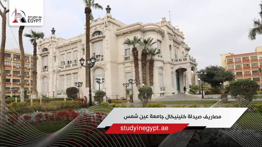 مصاريف صيدلة كلينيكال جامعة عين شمس