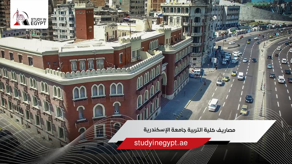 مصاريف كلية التربية جامعة الإسكندرية