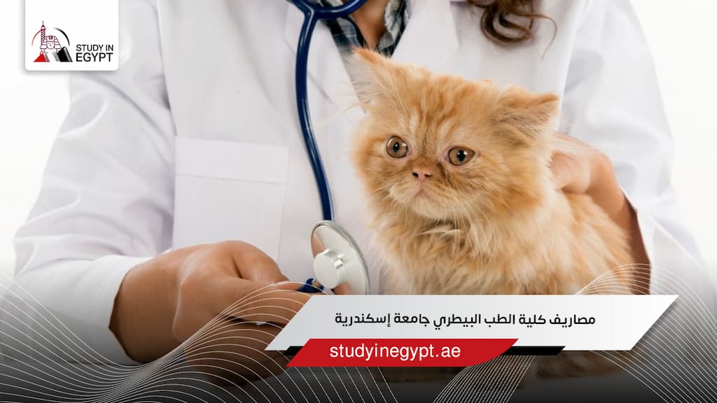 مصاريف كلية الطب البيطري جامعة إسكندرية
