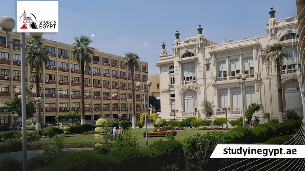 نسب القبول في جامعة عين شمس للوافدين