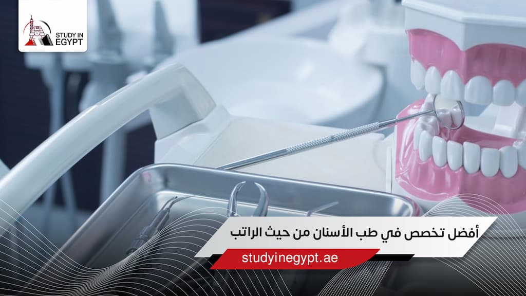 أفضل تخصص في طب الأسنان من حيث الراتب
