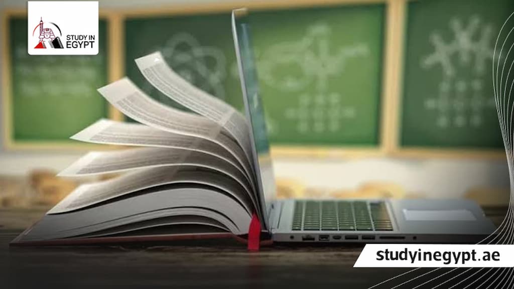 التخصصات الجامعية في مصر