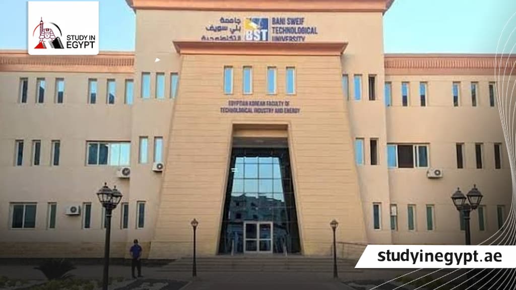 الدكتوراة المهنية جامعة بنى سويف