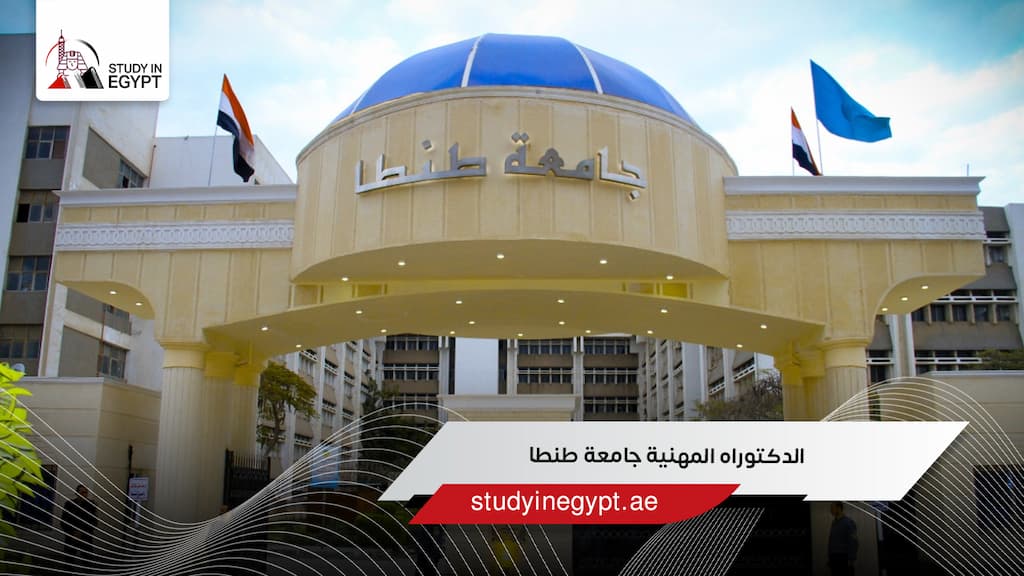 الدكتوراه المهنية جامعة طنطا