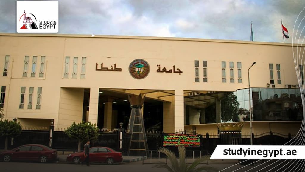 الدكتوراه المهنية جامعة طنطا