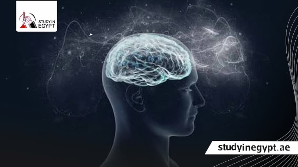 الدكتوراه في علم النفس