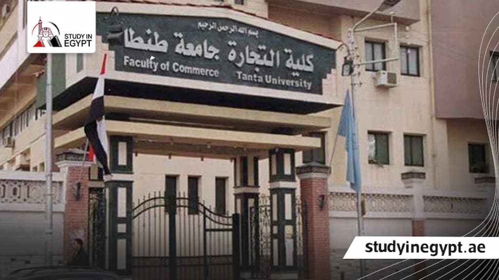 الماجستير المهنى كلية التجارة جامعة طنطا