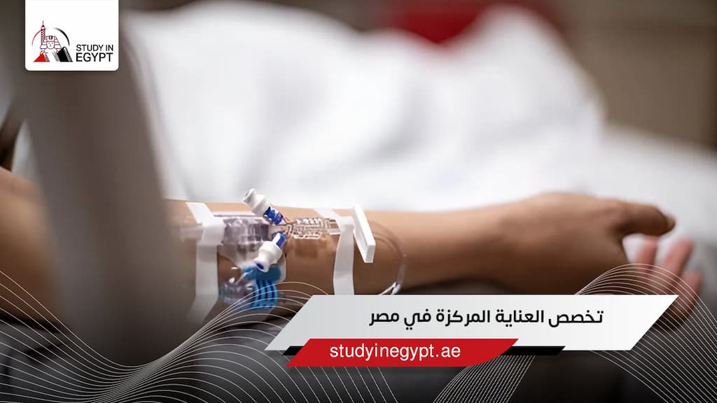 تخصص العناية المركزة في مصر