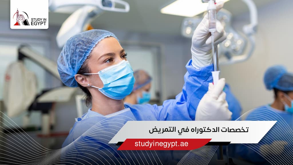 تخصصات الدكتوراه في التمريض