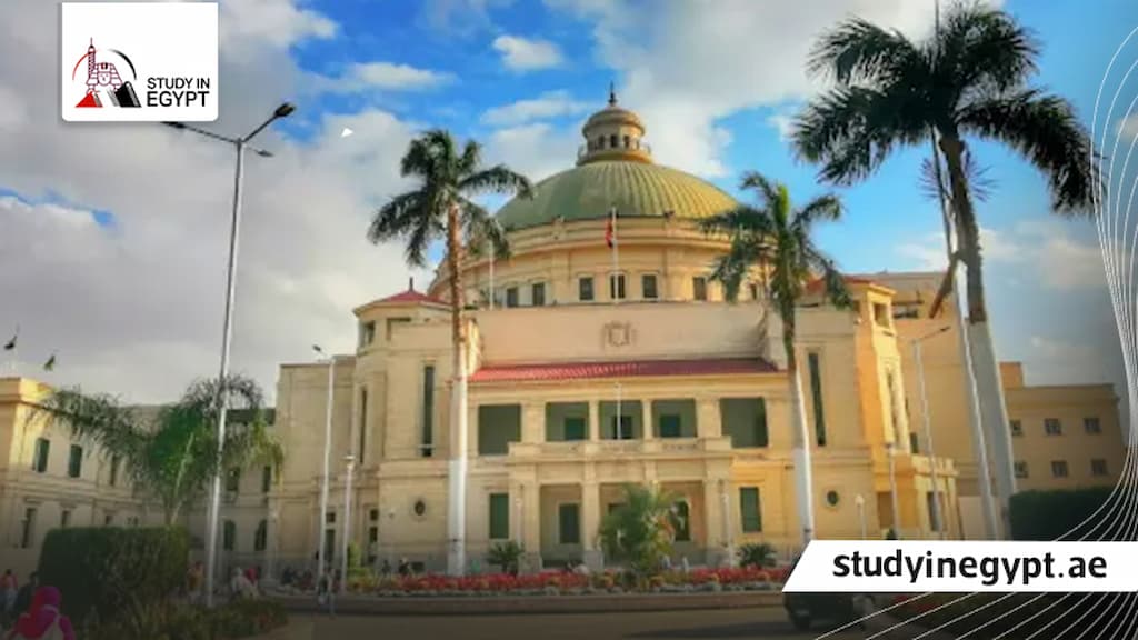 تخصصات الماجستير في جامعة القاهرة