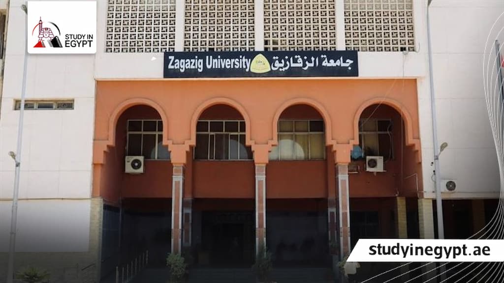 تخصصات جامعة الزقازيق