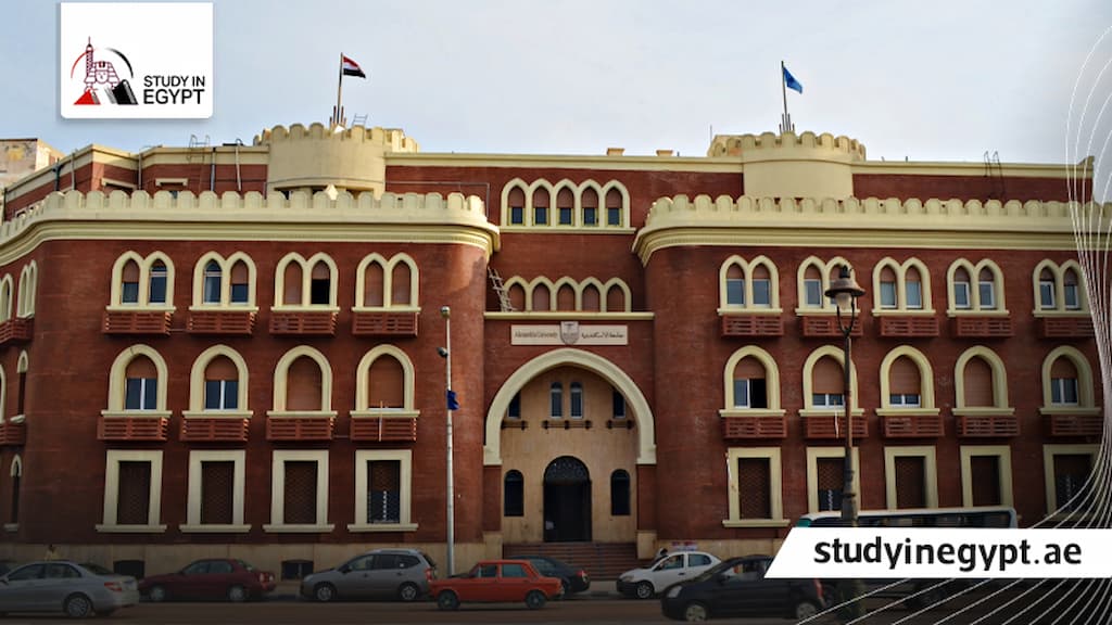 أقسام كلية اقتصاد وعلوم سياسية جامعة الإسكندرية