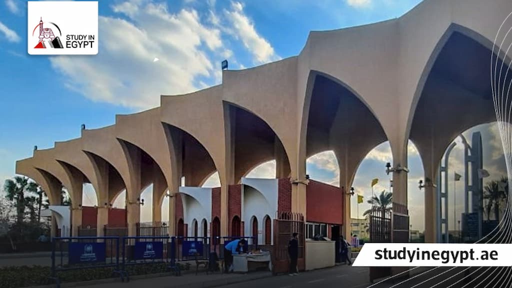 جامعة حلوان كلية التربية الرياضية الدراسات العليا