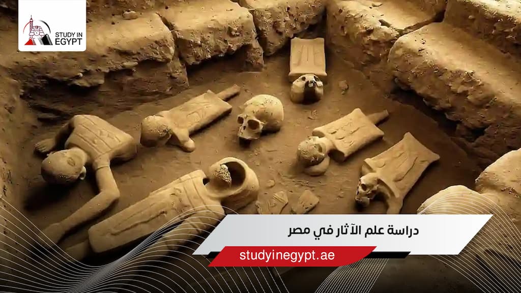 دراسة علم الآثار في مصر