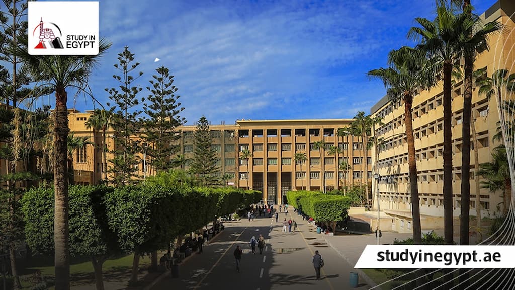 شروط الماجستير في جامعة الإسكندرية