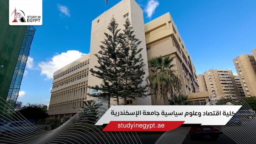 أقسام كلية اقتصاد وعلوم سياسية جامعة الإسكندرية