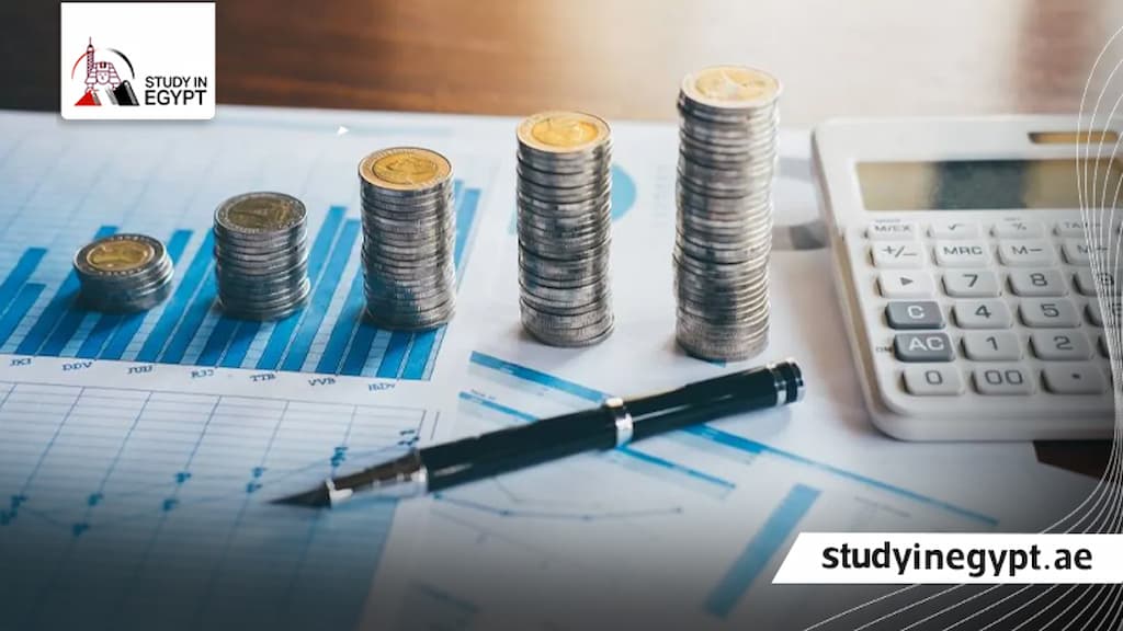 ماجستير ادارة الاعمال جامعة طنطا