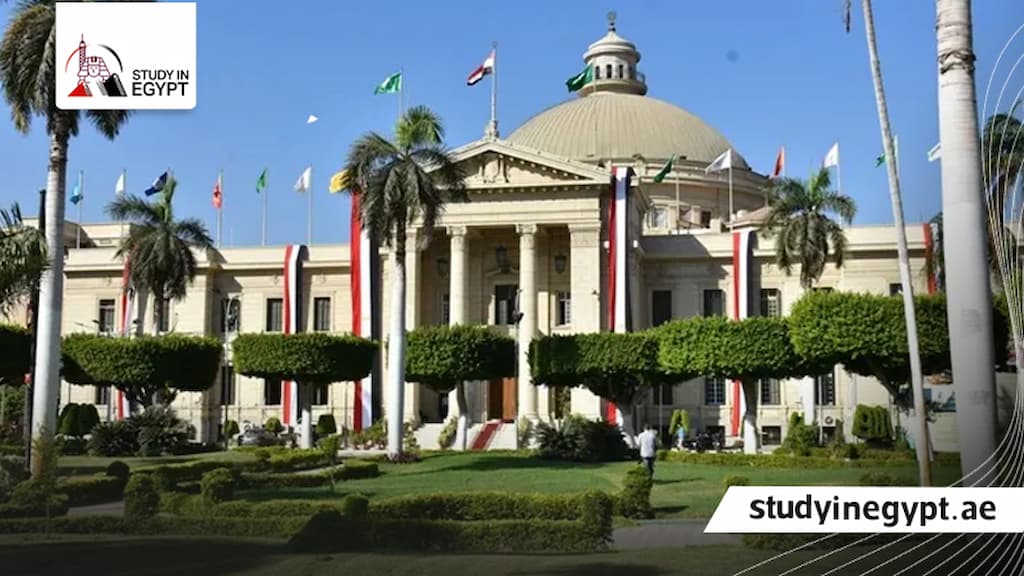 ماجستير كلية التجارة جامعة القاهرة