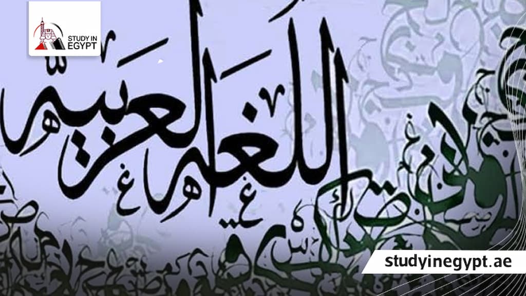 ماجستير لغة عربية في مصر