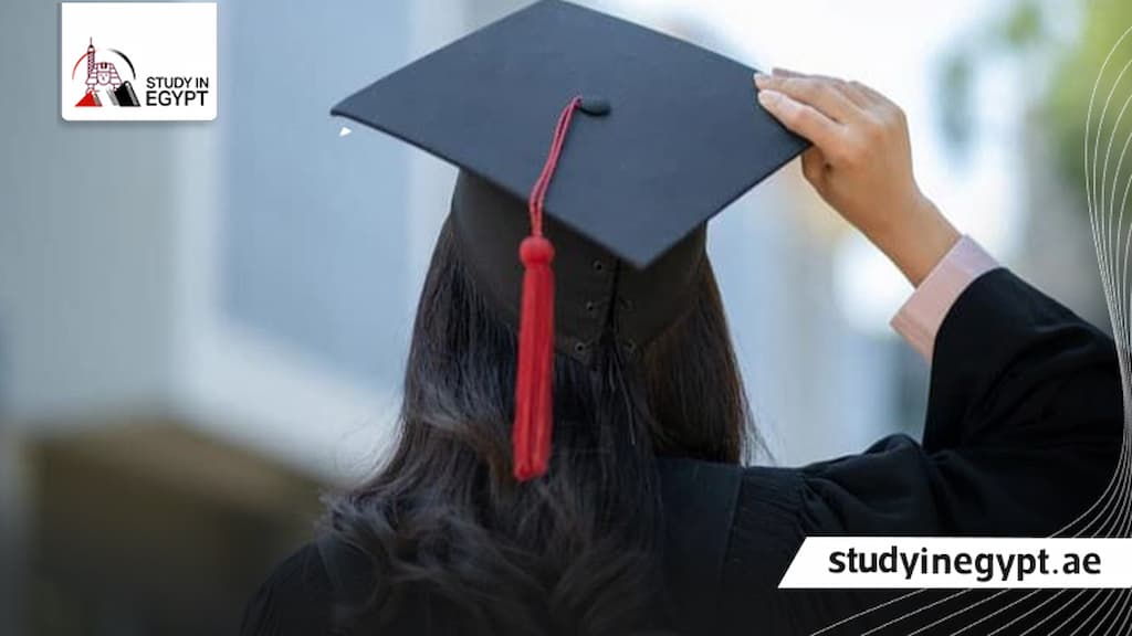 ماجستير مهني جامعة القاهرة