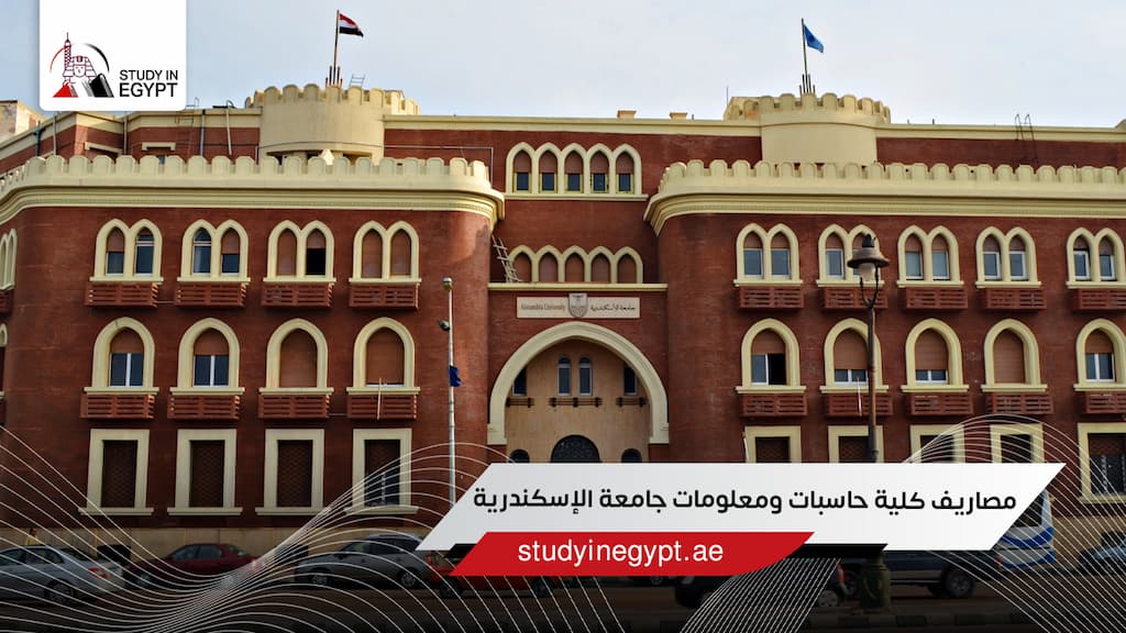 مصاريف كلية حاسبات ومعلومات جامعة الإسكندرية