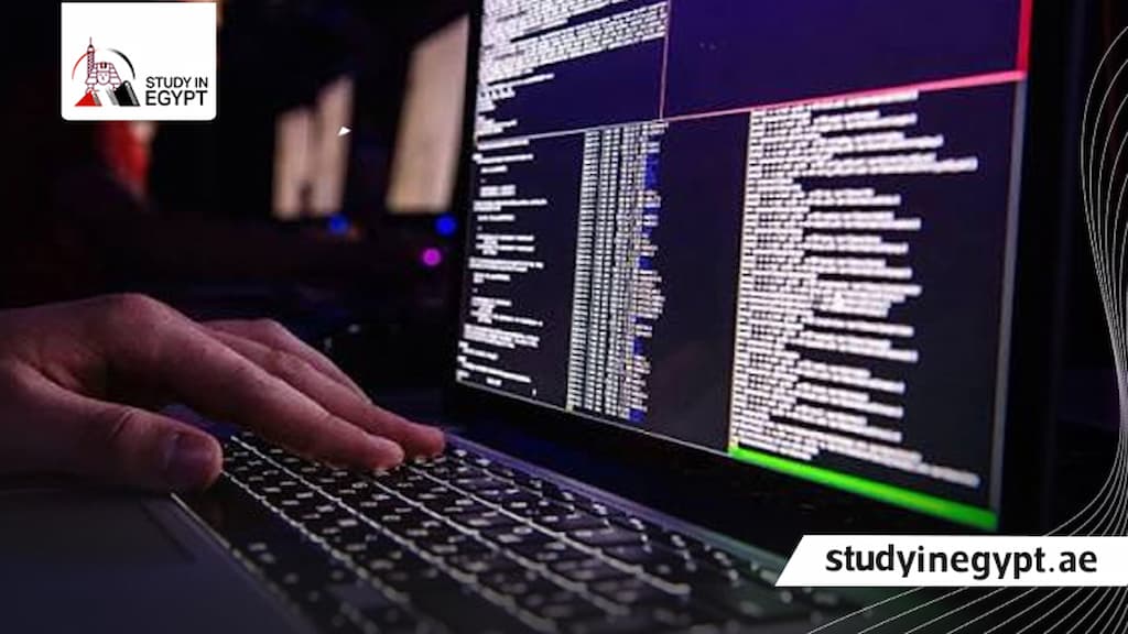 مصاريف كلية حاسبات ومعلومات جامعة الإسكندرية
