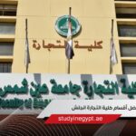 تعرف على أفضل أقسام كلية التجارة انجلش فى مصر للوافدين