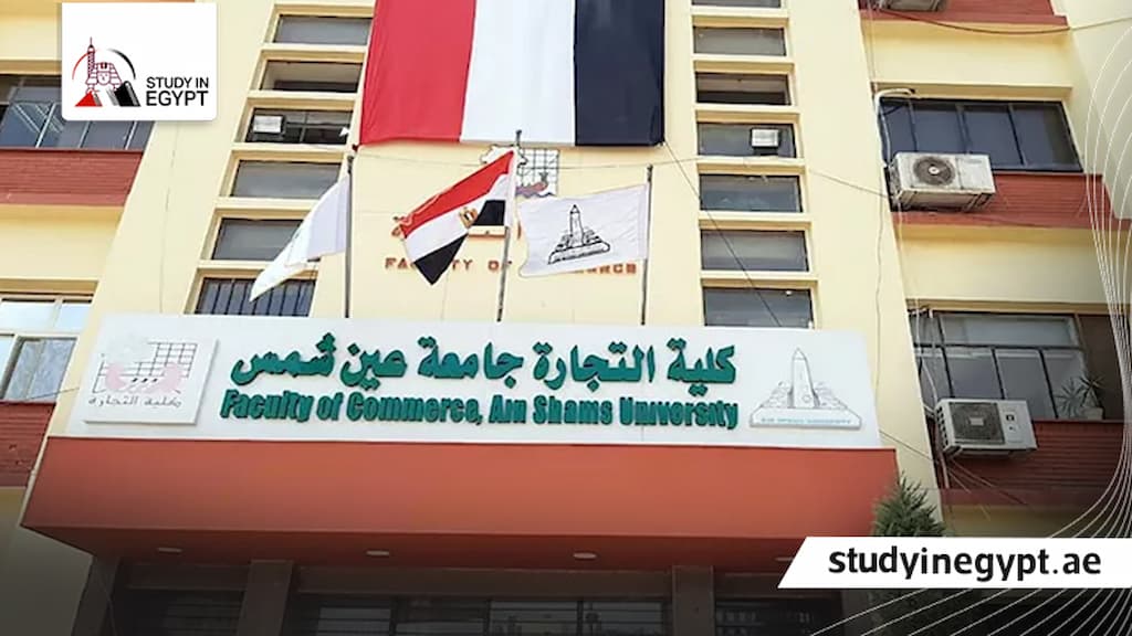 أفضل أقسام كلية التجارة انجلش