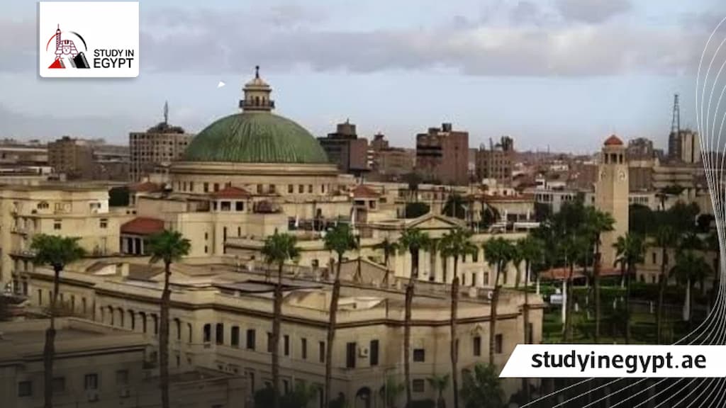 أفضل الجامعات الحكومية في مصر