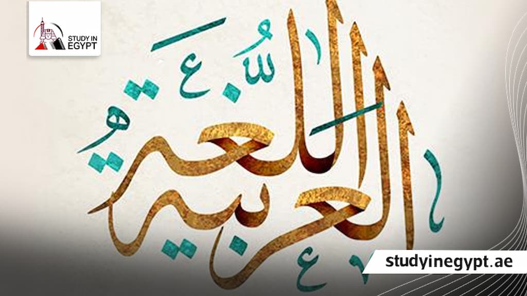 التخصصات المتاحة للماجستير لخريجي لغة عربية